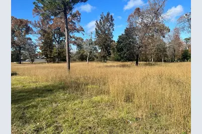 Tbd S Houston Avenue, Livingston, TX 77351 - Photo 1