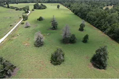 000 Private Road 1310, Centerville, TX 75833 - Photo 1