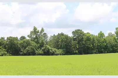 000 Private Road 1310, Centerville, TX 75833 - Photo 11