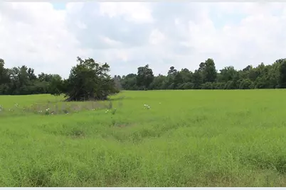 000 Private Road 1310, Centerville, TX 75833 - Photo 7