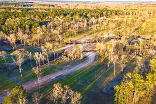 Tbd 013 Fm 350 N, Livingston, TX 77351 - Photo 1