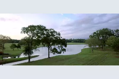 15981 Ridge Oak Road, Willis, TX 77378 - Photo 11