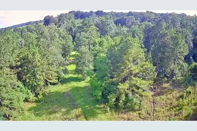 Lot 184 & 185 Hunters Creek, Hillister, TX 77624 - Photo 7