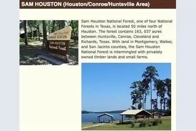 Tbd Lonestar Road, Huntsville, TX 77340 - Photo 5