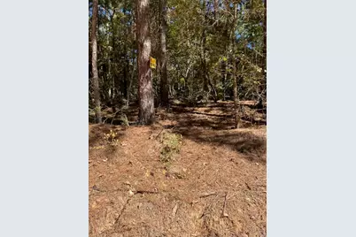 0 Monroe Drive, Livingston, TX 77351 - Photo 1