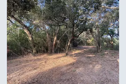 Tbd Loose Cow Road, Garwood, TX 77442 - Photo 13