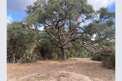 Tbd Loose Cow Road, Garwood, TX 77442 - Photo 5
