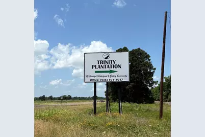 00 Bay Tree Street, Trinity, TX 75862 - Photo 1