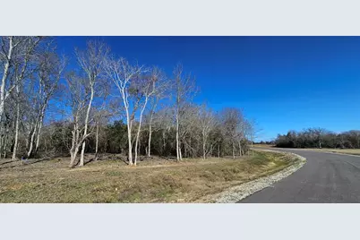 0 Winding Branch, Chappell Hill, TX 77426 - Photo 7