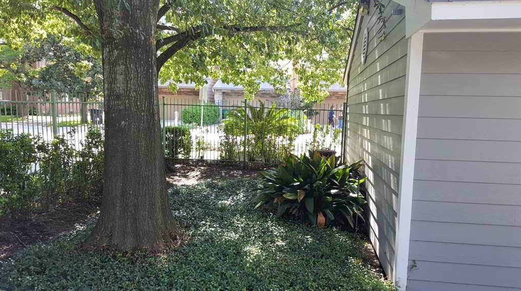 216 Asbury St, Houston TX  77007-8147 exterior