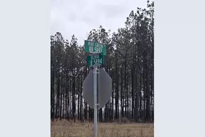 1569 Road 5894, Cleveland, TX 77327 - Photo 13