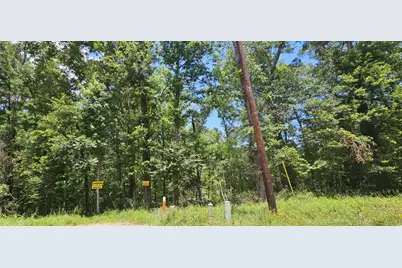 0 Harrell Road, Coldspring, TX 77331 - Photo 1