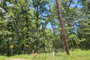 0 Harrell Rd, Coldspring, TX 77331 - Photo 1