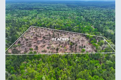 120 Royce Lane, Livingston, TX 77351 - Photo 9