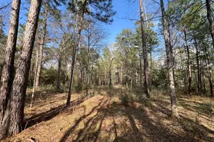 3-17-3B Winchester Rd, Huntsville, TX 77340 - Photo 1