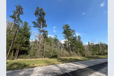 3-17-3B Winchester Road, Huntsville, TX 77340 - Photo 3