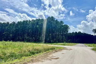 4445 Road 66122, Dayton, TX 77535 - Photo 1