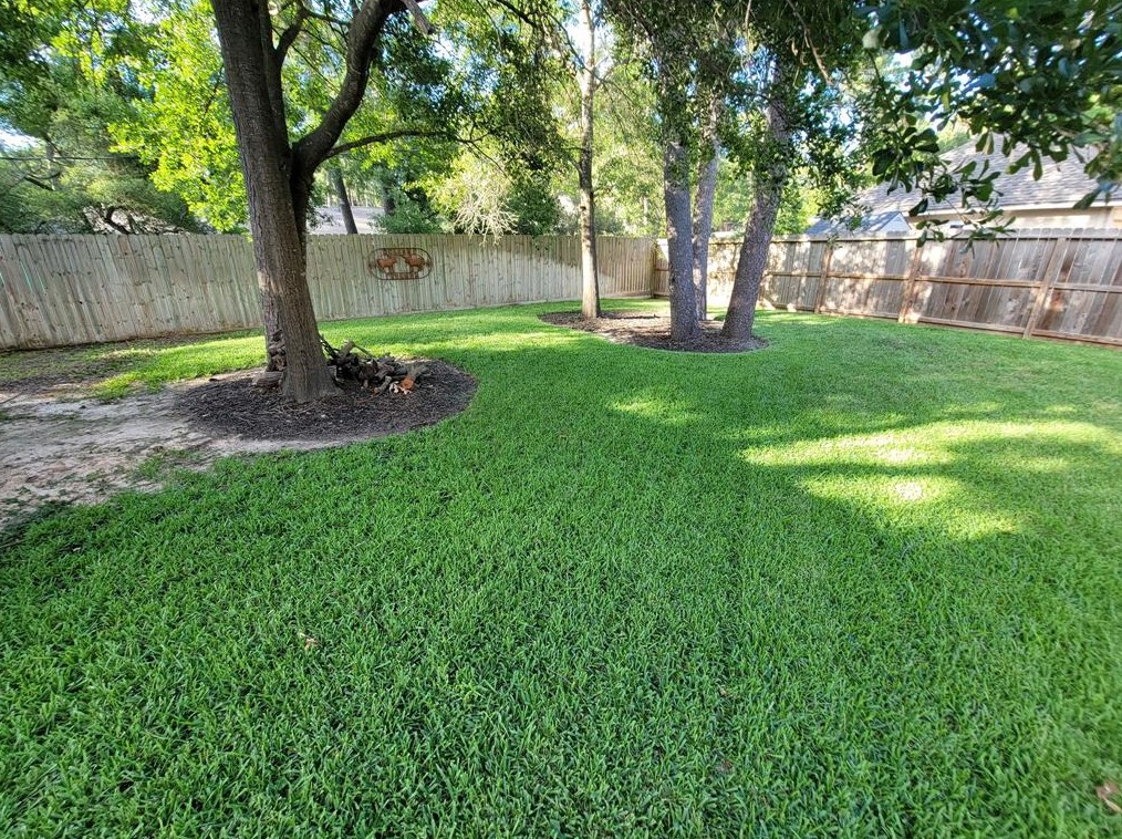 23006 Ammick Ct, Spring TX  77389-5271 exterior