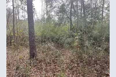 Tbd Highway 59 Loop N, Livingston, TX 77351 - Photo 7