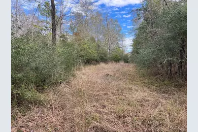 Tbd Highway 59 Loop N, Livingston, TX 77351 - Photo 5