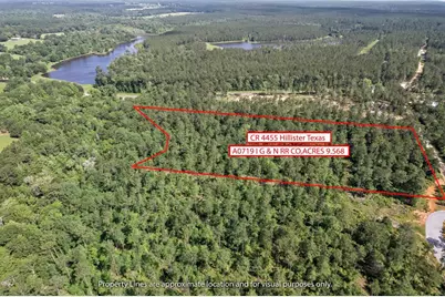 244 County Road 4455, Hillister, TX 77624 - Photo 1