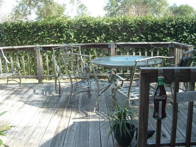 15903 Alta Mar Dr, Houston TX  77083-3939 exterior