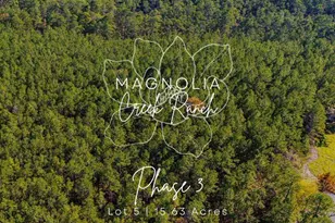 035 Magnolia Ranch Road Rd, Onalaska, TX 77360 - Photo 1