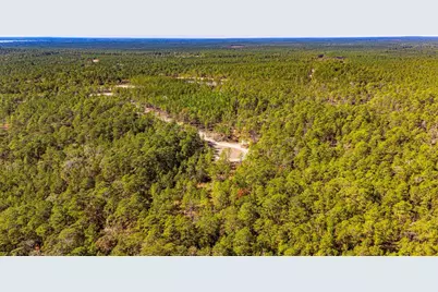 035 Magnolia Ranch Road Road, Onalaska, TX 77360 - Photo 9