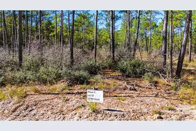 035 Magnolia Ranch Road Road, Onalaska, TX 77360 - Photo 5