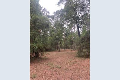 Tbd Oak Pine Drive, Livingston, TX 77351 - Photo 1