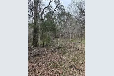 000 Cr-289, Sweeny, TX 77480 - Photo 3