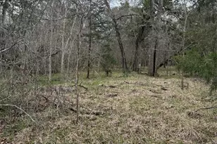 000 Cr-289, Sweeny, TX 77480 - Photo 1