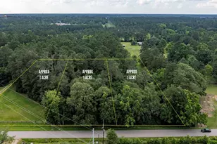 Tbd A2 County Road 318, Cleveland, TX 77327 - Photo 1