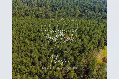 016 King Ranch Road S, Onalaska, TX 77360 - Photo 1