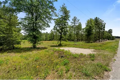 4578 N Duck Creek Road, Cleveland, TX 77328 - Photo 3
