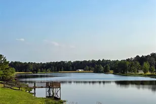 4578 N Duck Creek Rd, Cleveland, TX 77328 - Photo 21