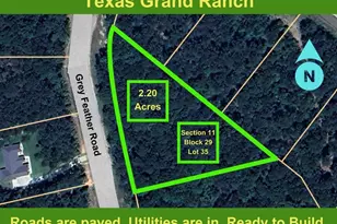 11-29-35 Grey Feather Rd, Huntsville, TX 77340 - Photo 1