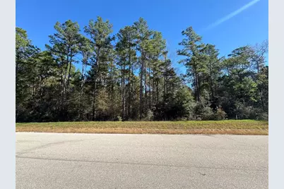 11-29-35 Grey Feather Road, Huntsville, TX 77340 - Photo 11