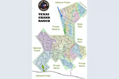 11-29-35 Grey Feather Road, Huntsville, TX 77340 - Photo 5