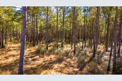 047 Tumbleweed Ranch Road, Onalaska, TX 77360 - Photo 5