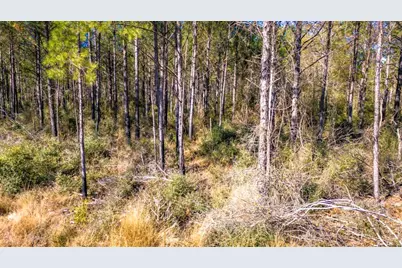 0413 Wells Landing Rd Road, Onalaska, TX 77360 - Photo 3