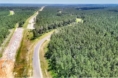 15469 Forest Grove Drive, Willis, TX 77378 - Photo 17