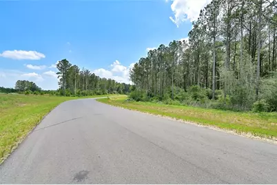 15469 Forest Grove Drive, Willis, TX 77378 - Photo 5