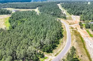 15469 Frst Grv Dr, Willis, TX 77378 - Photo 11