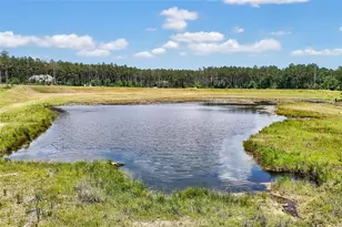 15469 Frst Grv Dr, Willis, TX 77378 - Photo 23