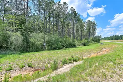 15469 Forest Grove Drive, Willis, TX 77378 - Photo 9