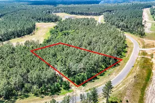 15469 Frst Grv Dr, Willis, TX 77378 - Photo 1