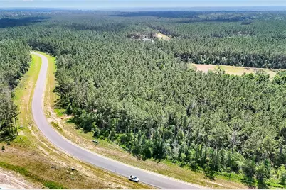 15469 Forest Grove Drive, Willis, TX 77378 - Photo 19