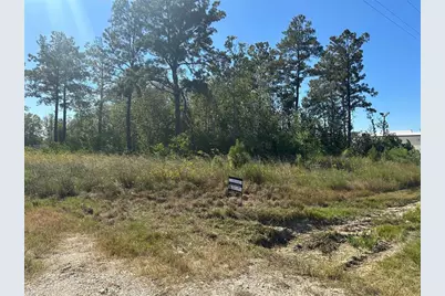 2321 Road 5100, Dayton, TX 77327 - Photo 1