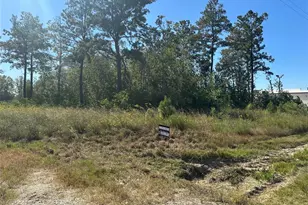 2321 Rd 5100, Dayton, TX 77327 - Photo 1